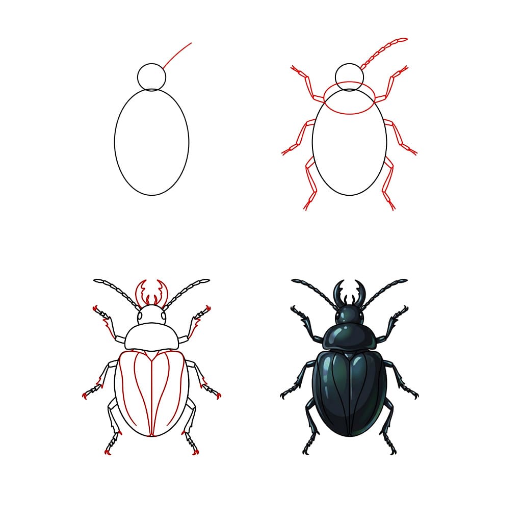 Black Ground Beetle Drawing Ideas