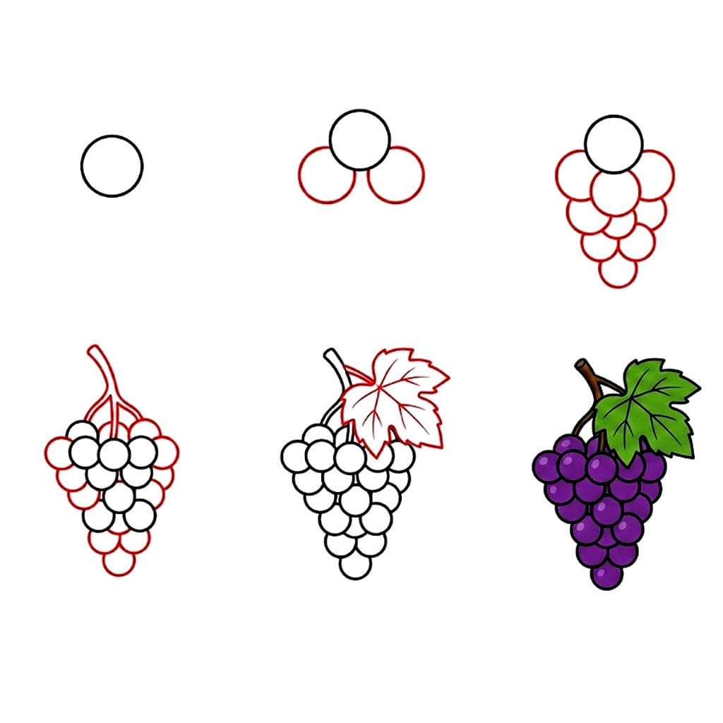 Bunch of Grapes Detailed Drawing Ideas