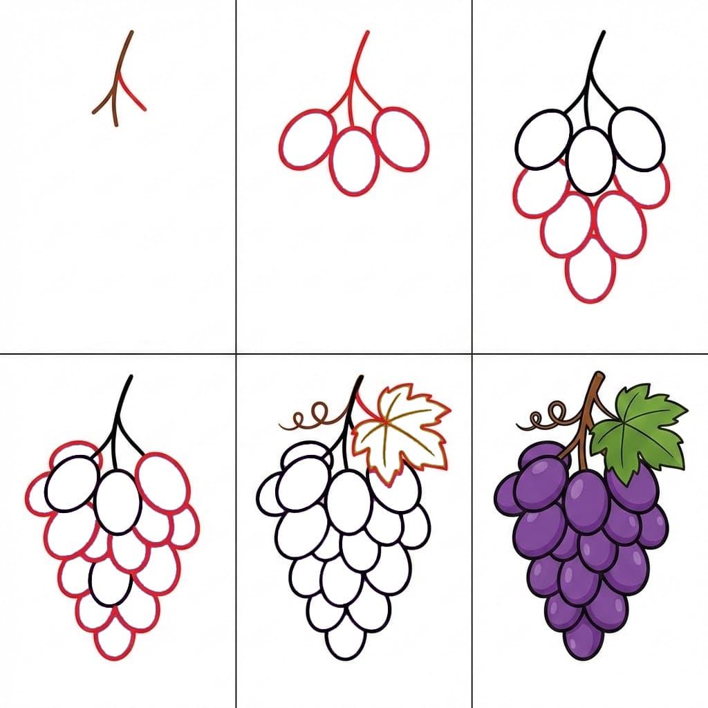 Bunch of Grapes Educational Drawing Ideas