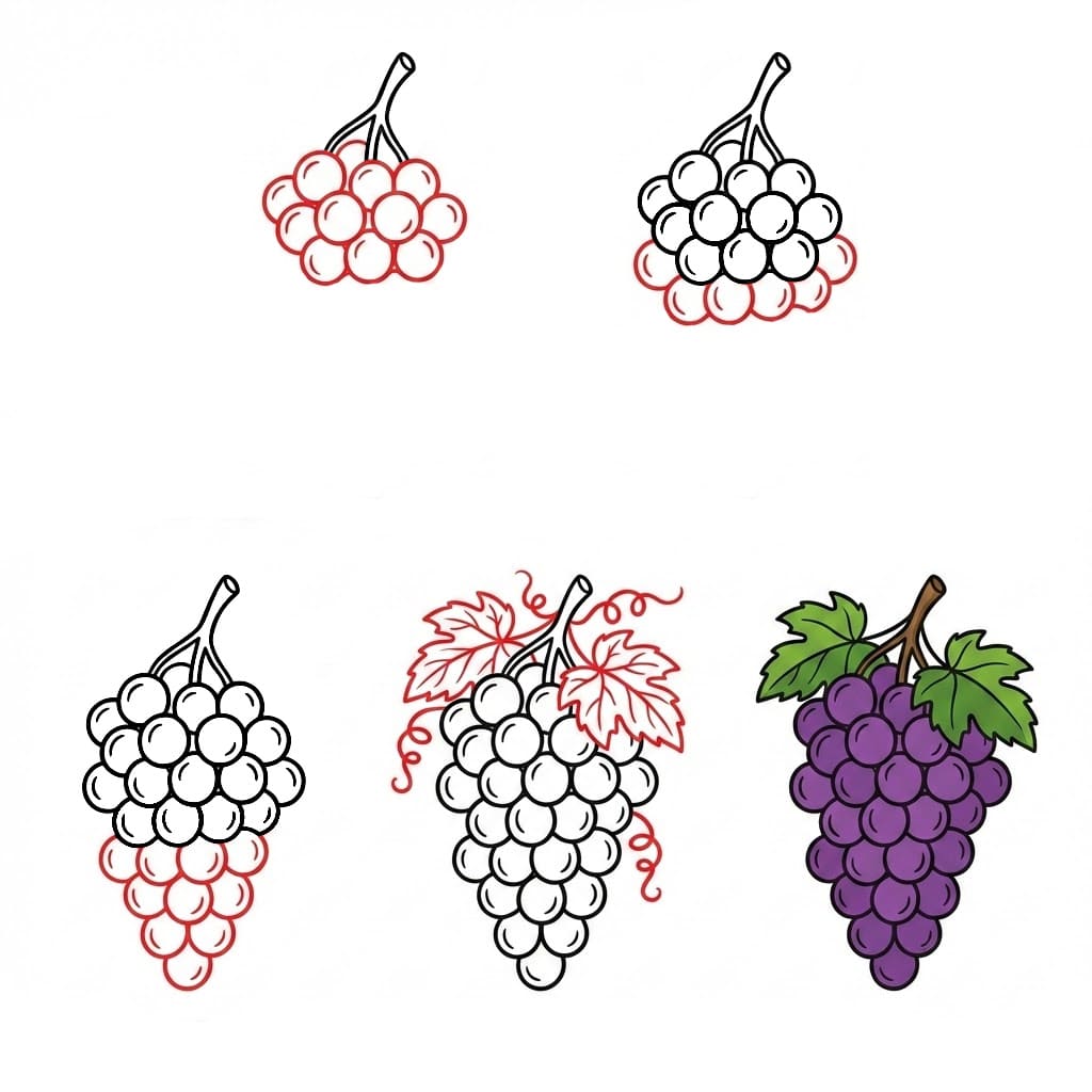 Bunch of Grapes Full Drawing Ideas