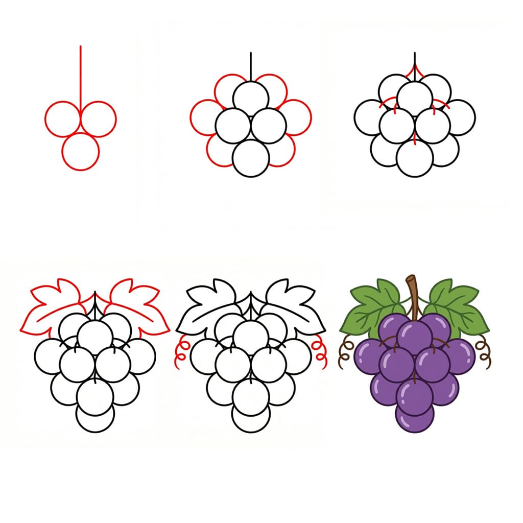 Bunch of Grapes Simple Drawing Ideas