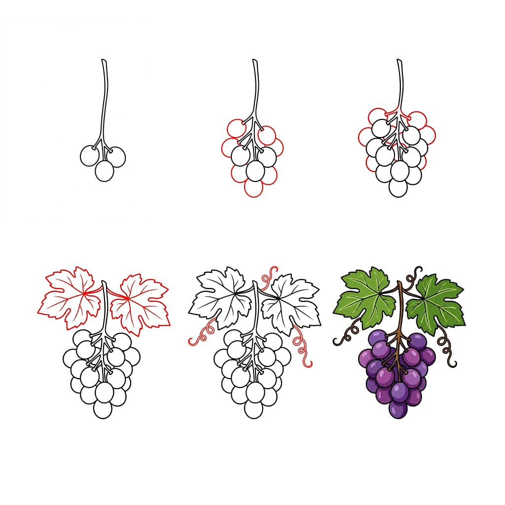 Bunch of Grapes with Stem Drawing Ideas