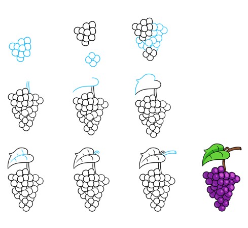 Bunch of grapes idea (3) Drawing Ideas