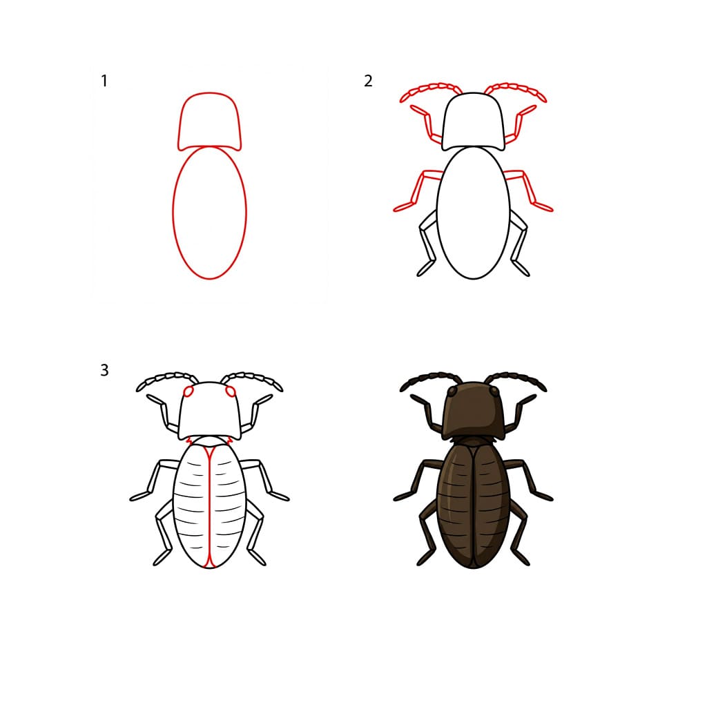 Click Beetle Drawing Ideas