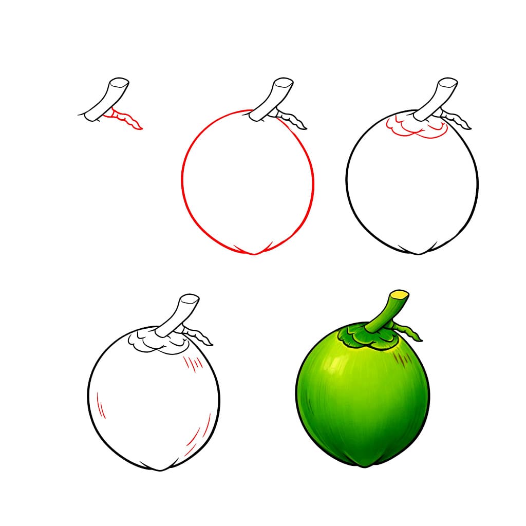 Coconut Fruit Drawing Ideas
