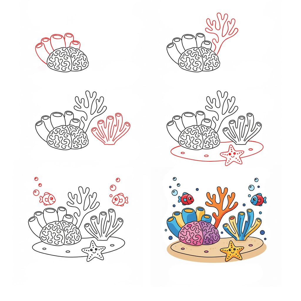 Coral Picture Drawing Ideas