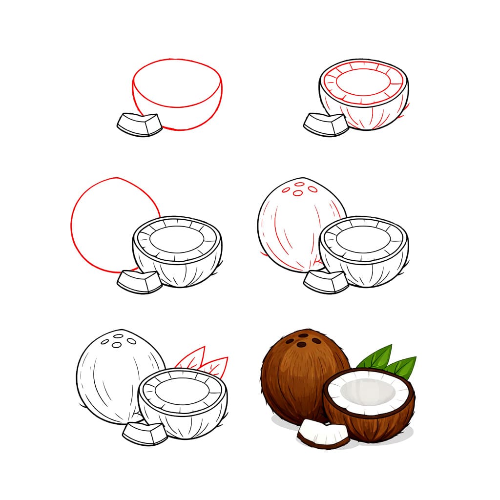 Delicious coconut Drawing Ideas