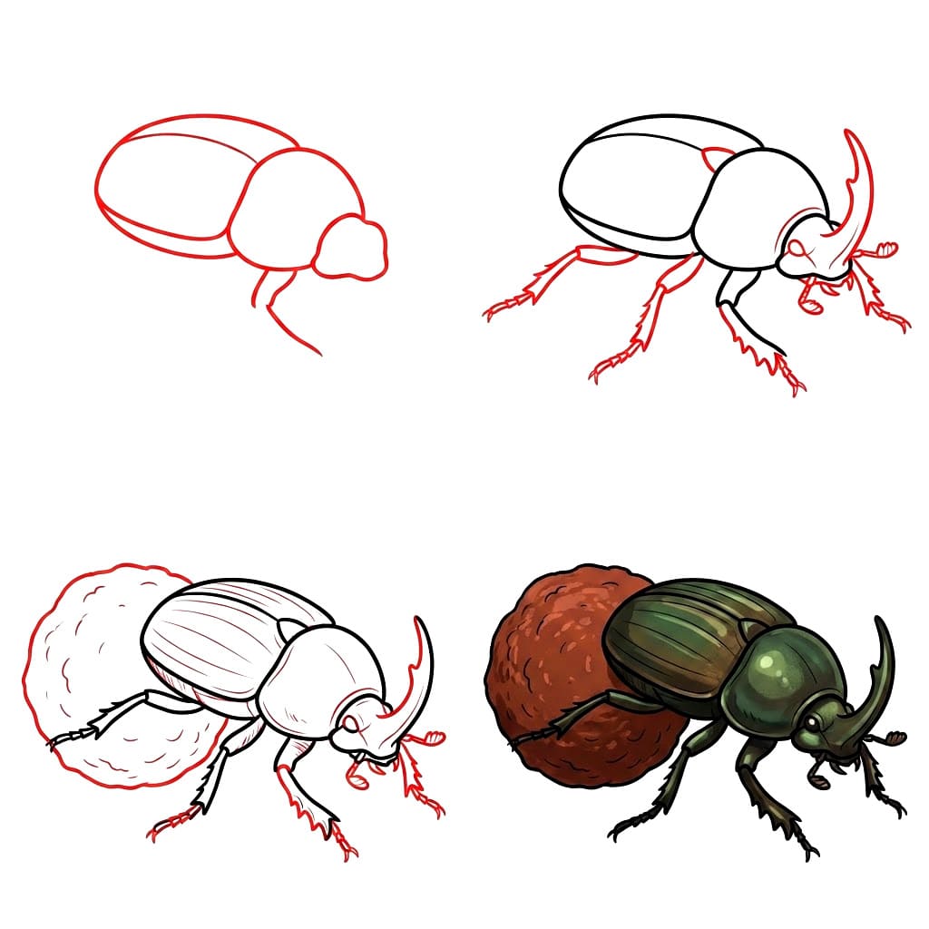 Dung Beetle Drawing Ideas
