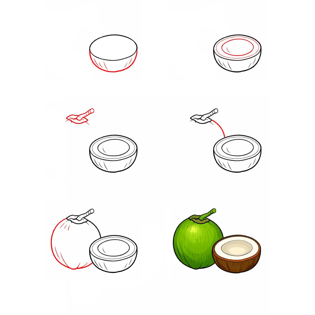 Fresh Coconut Drawing Ideas