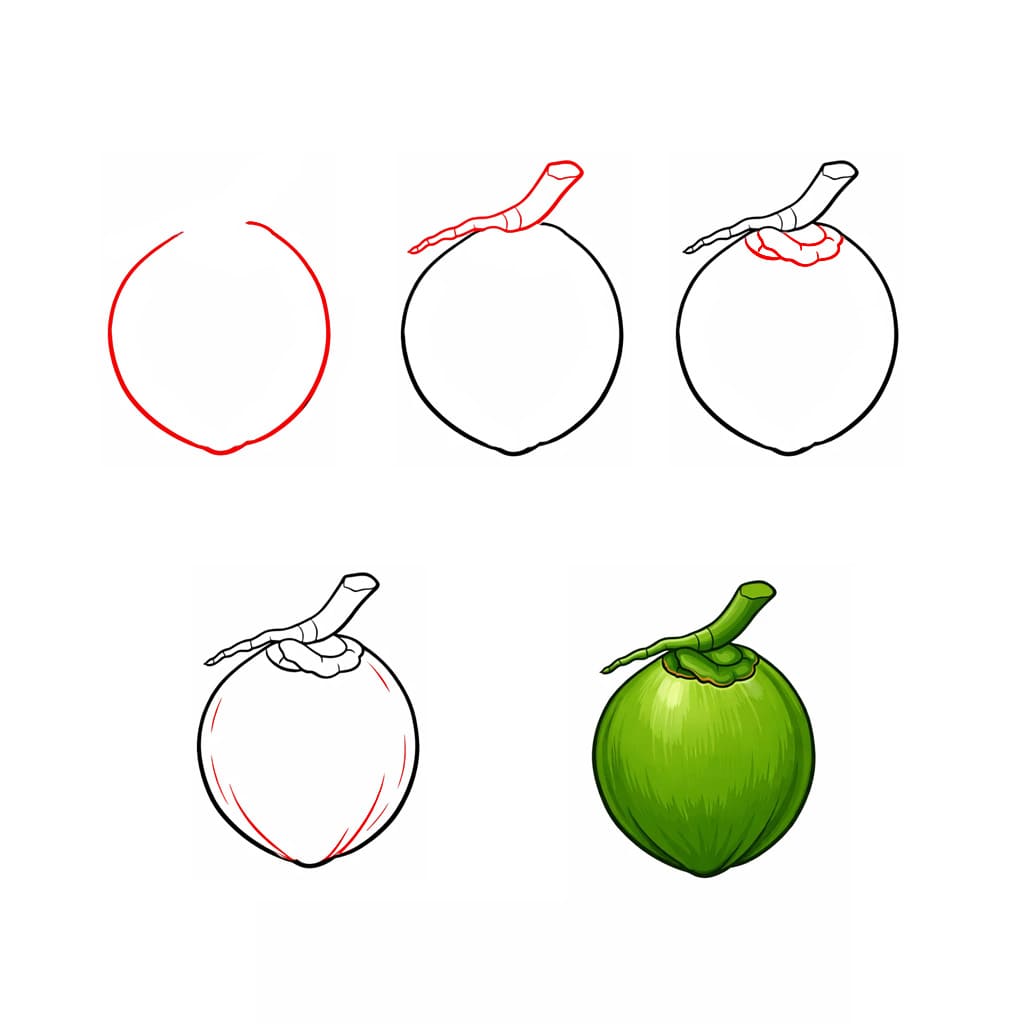 Green coconut Drawing Ideas