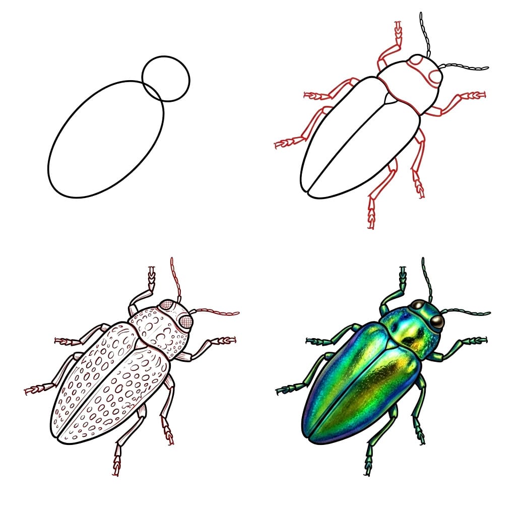 Jewel Beetle Image Drawing Ideas