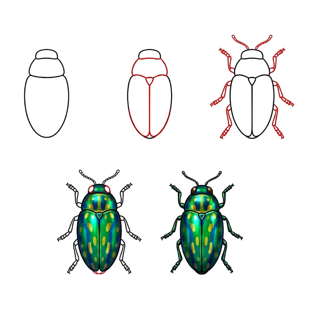 Jewel Beetle Drawing Ideas