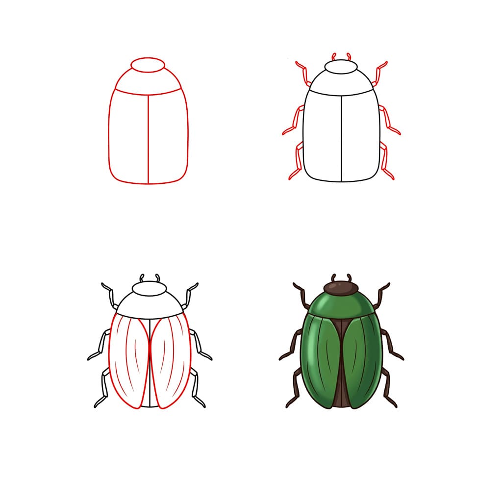 Leaf Beetle Drawing Ideas