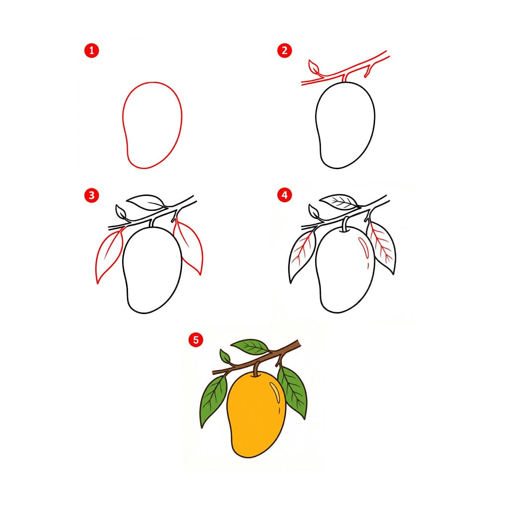 Mango on branch Drawing Ideas