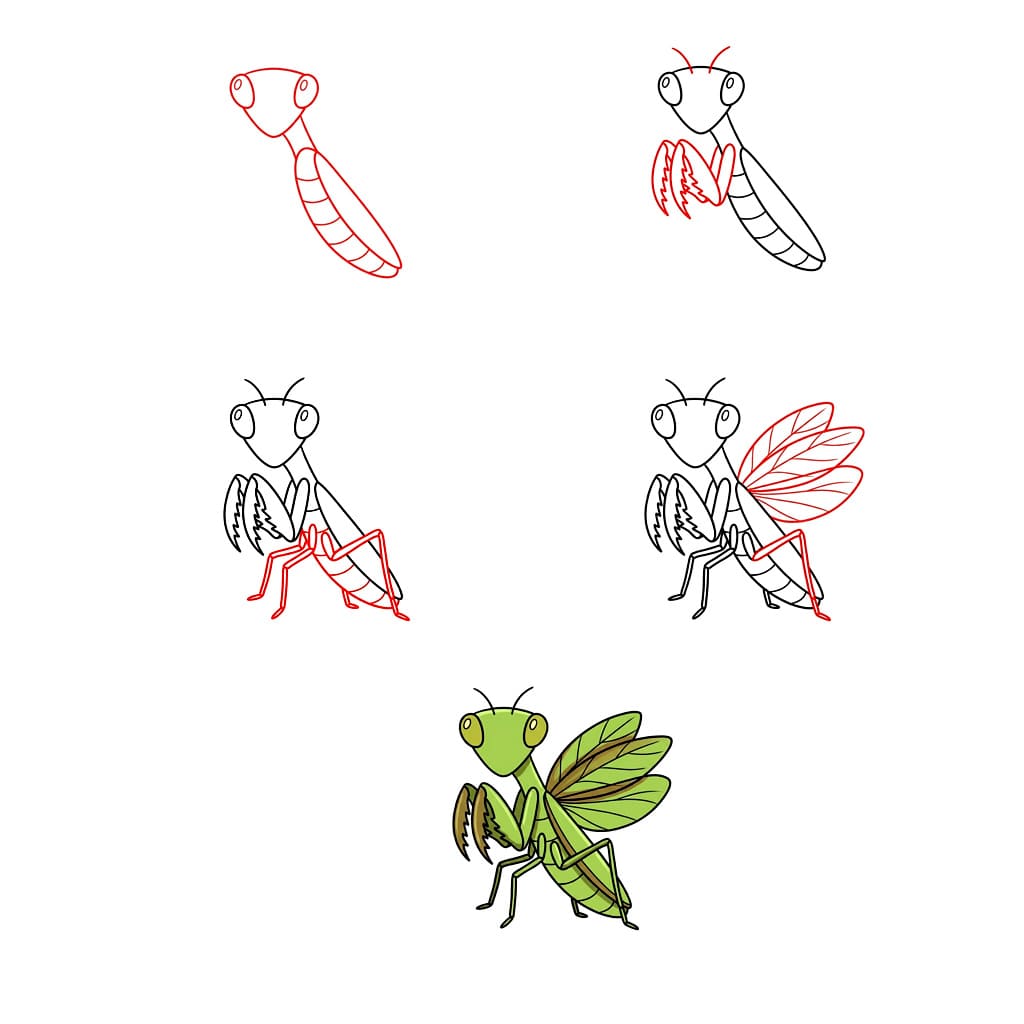 How to draw Mantis Flying