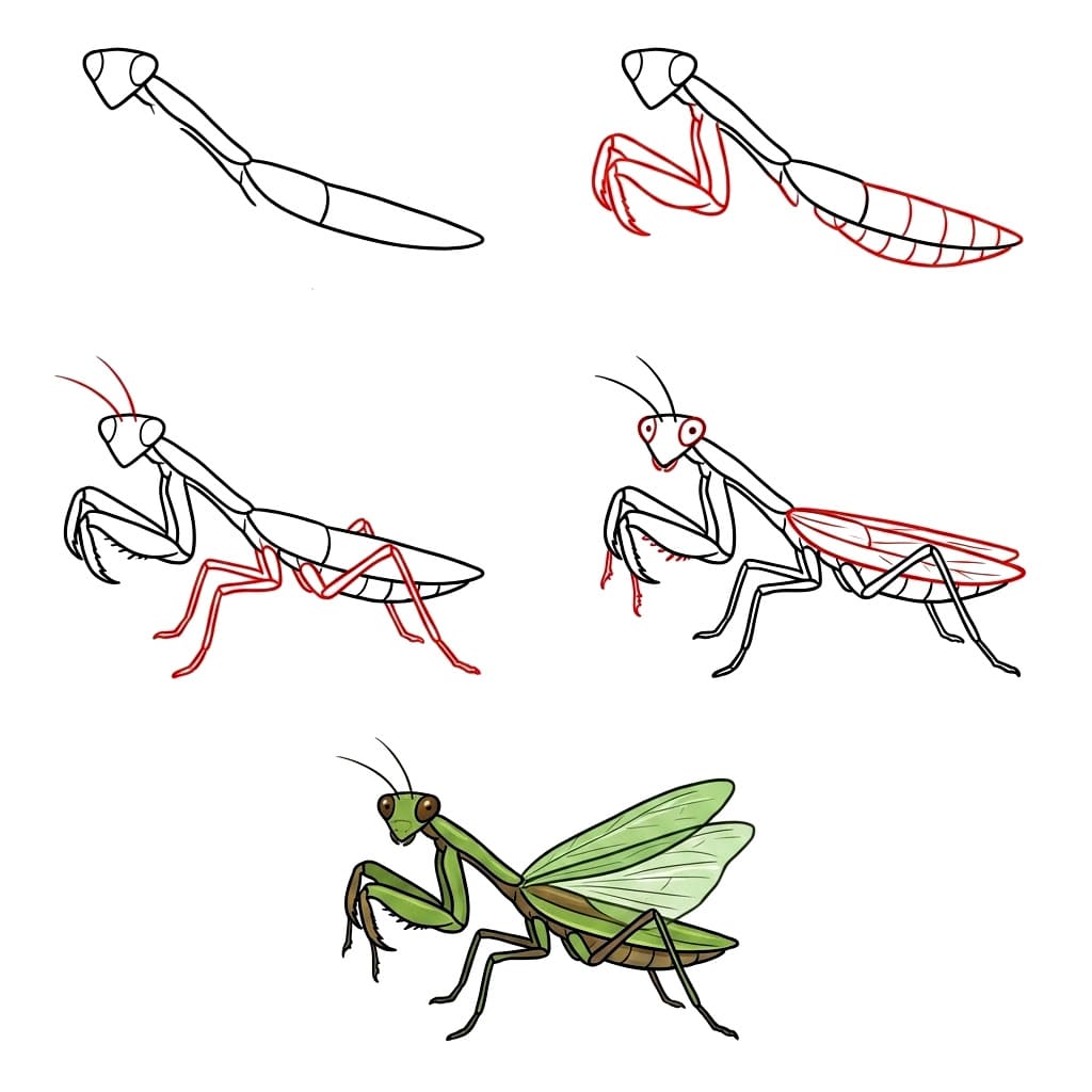 How to draw Mantis Nature