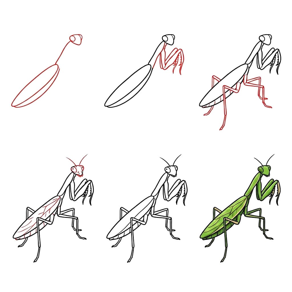 How to draw Mantis Sketch