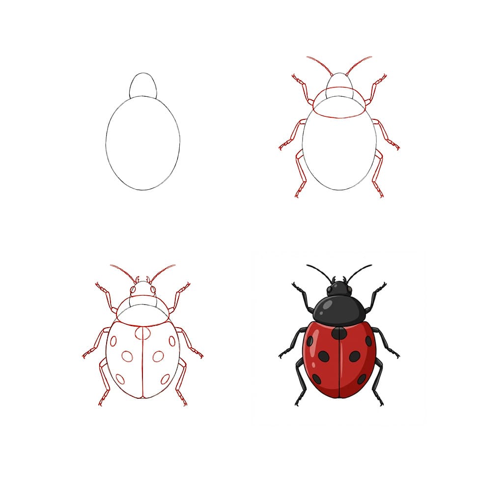Nice Beetle Drawing Ideas