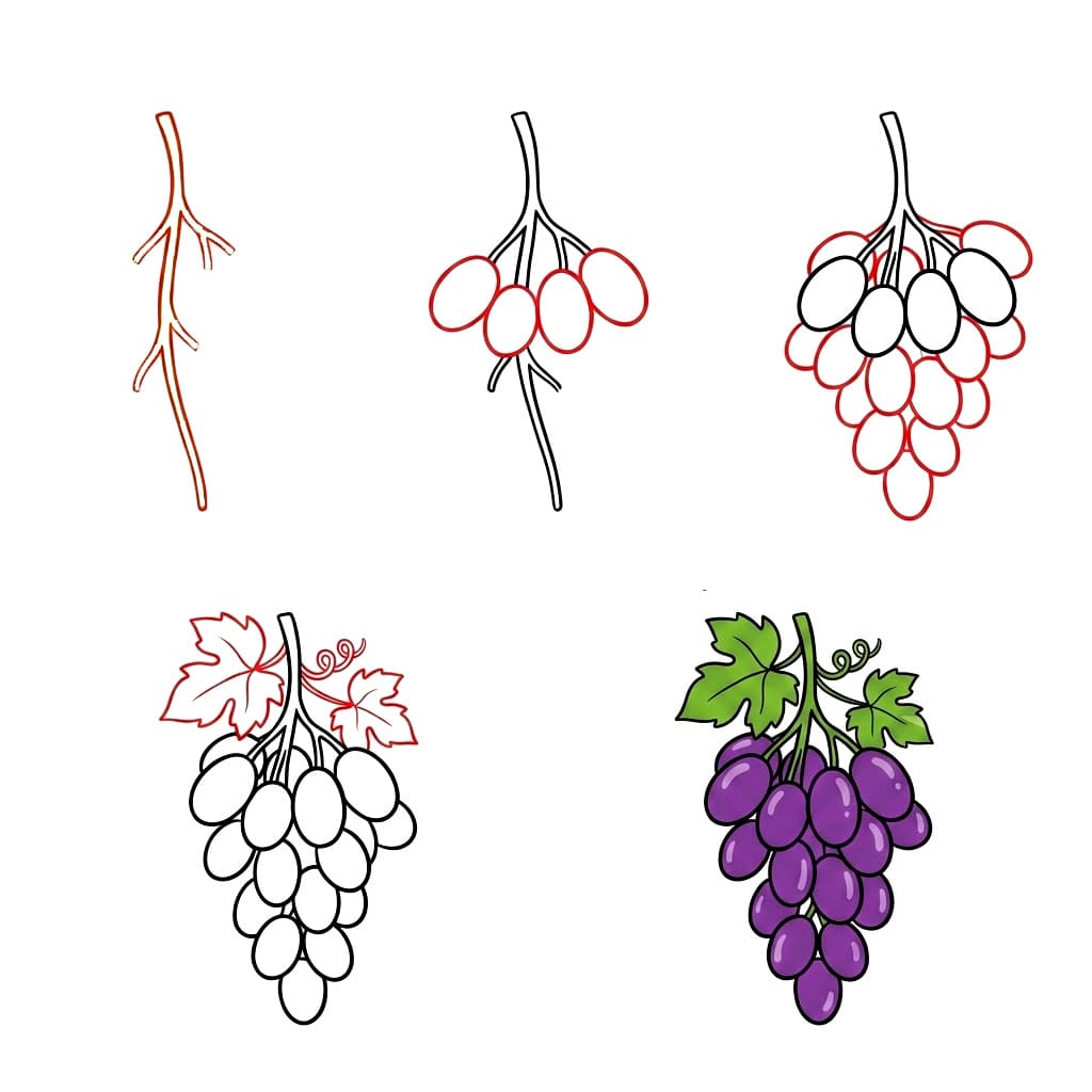 Nice Bunch of grapes Drawing Ideas