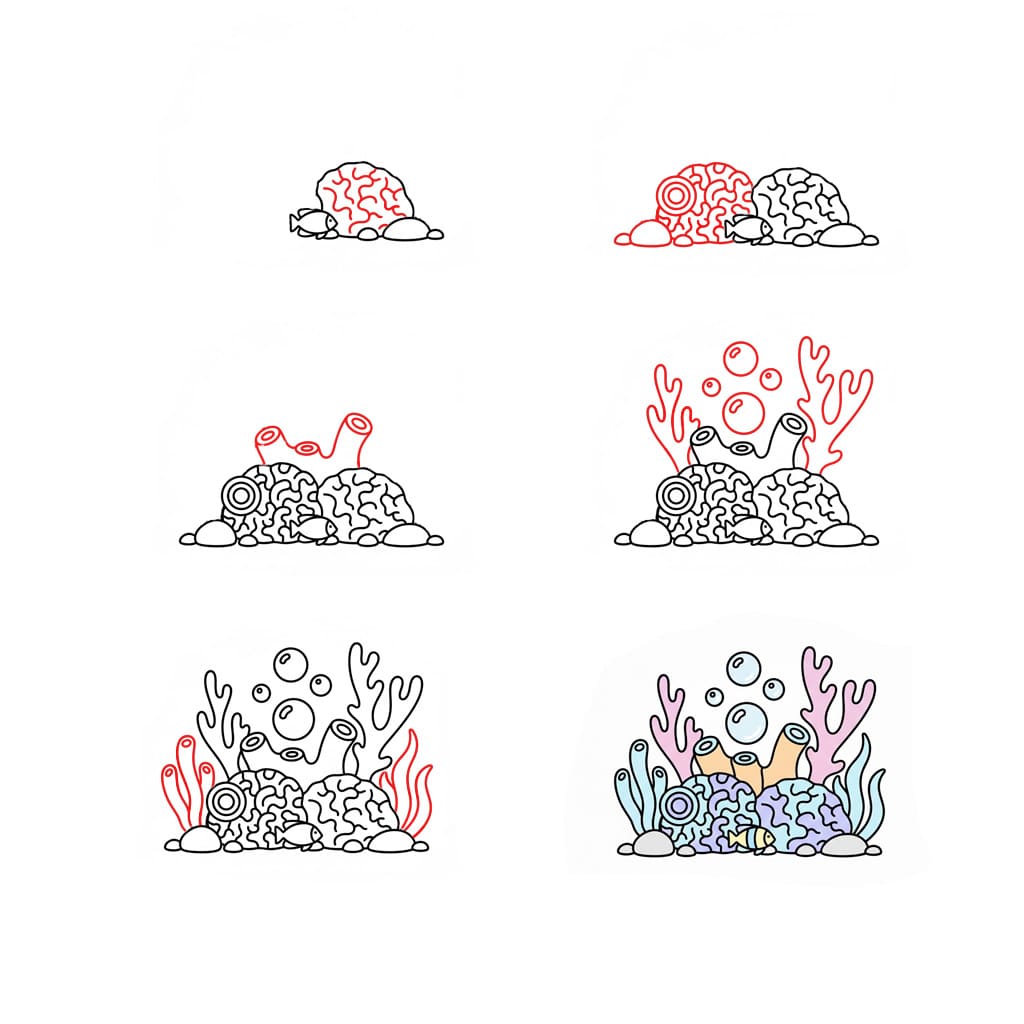 Nice Coral Drawing Ideas