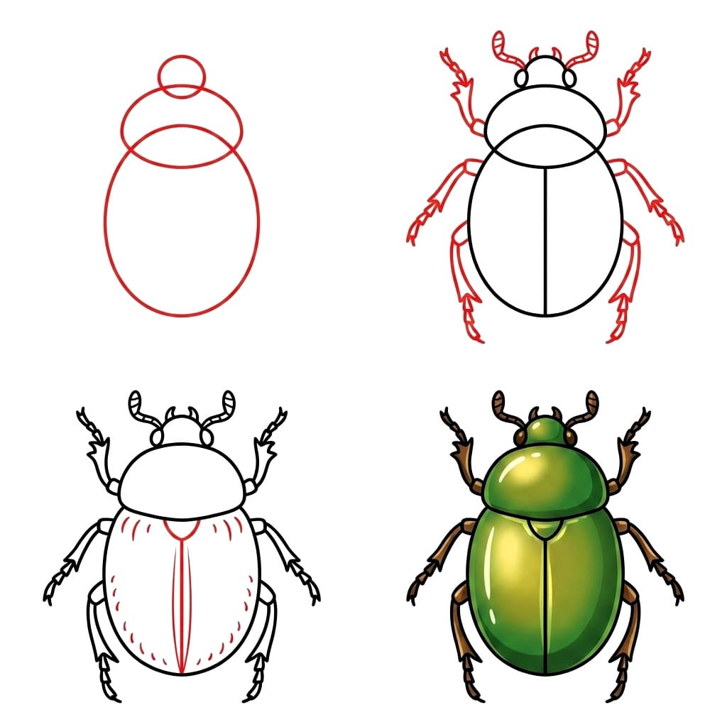 Perfect Beetle Drawing Ideas