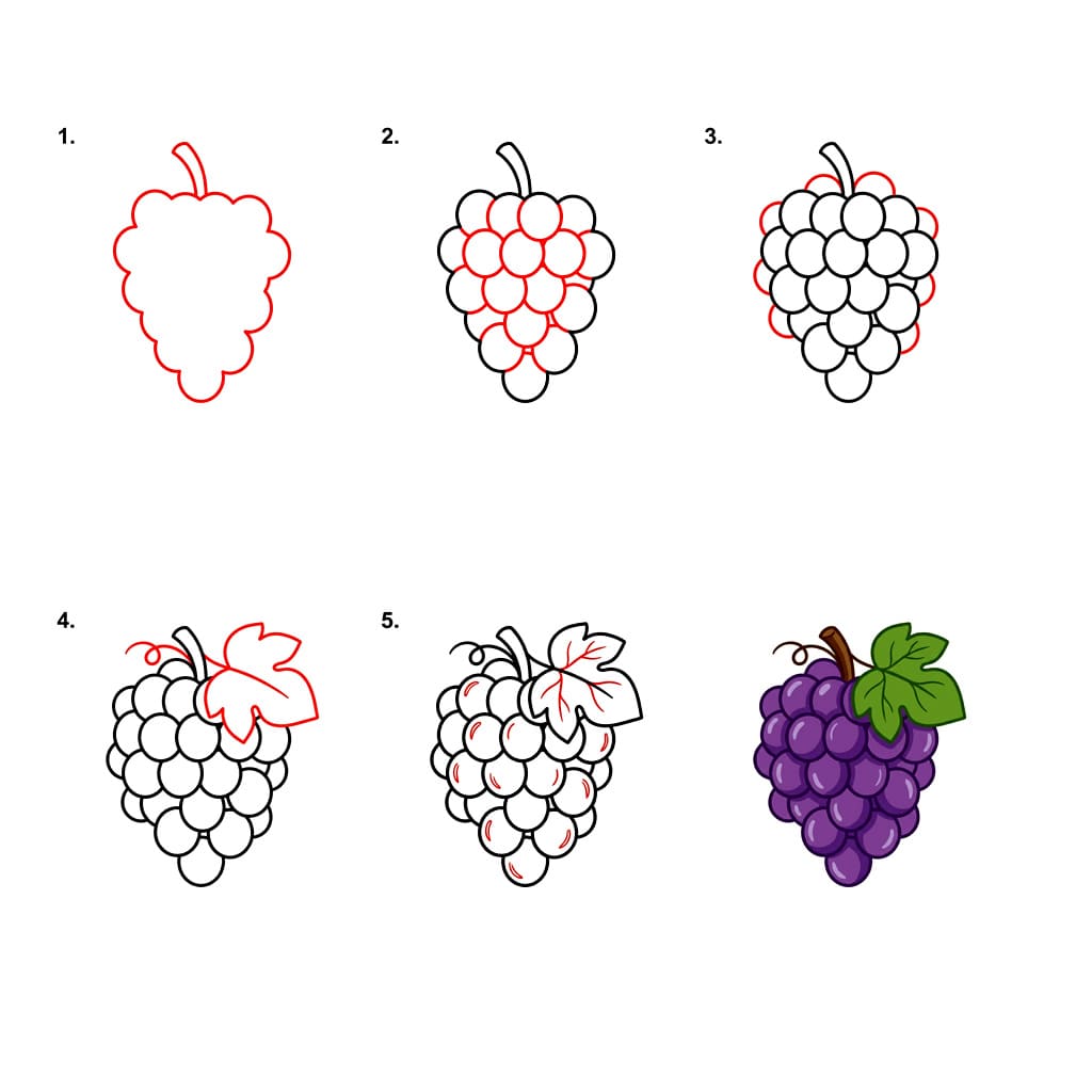 Print Bunch of grapes Drawing Ideas