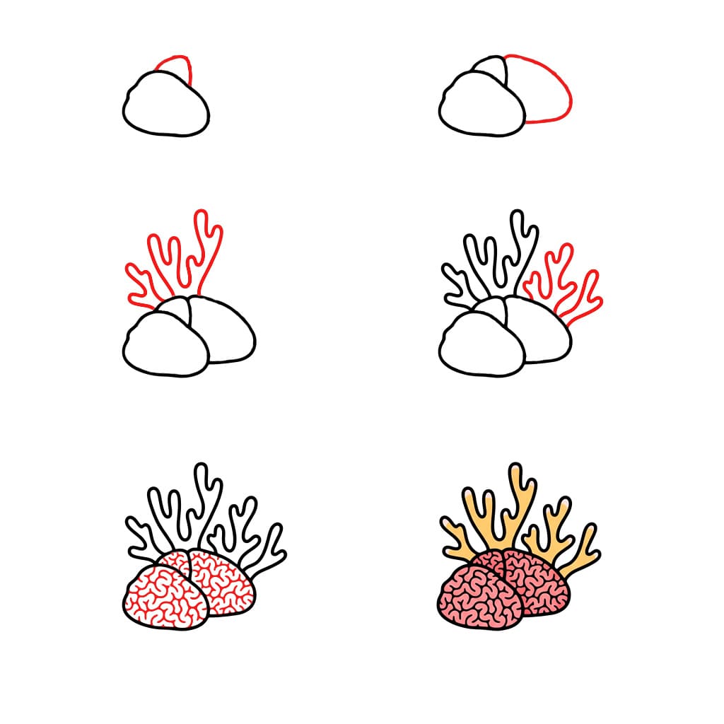 Realistic Coral Drawing Ideas