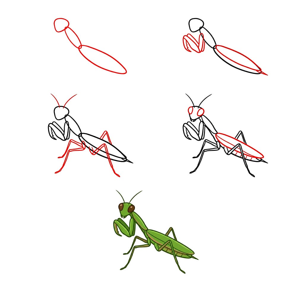 How to draw Simple Mantis