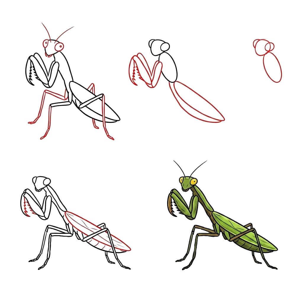 How to draw Smiling Mantis