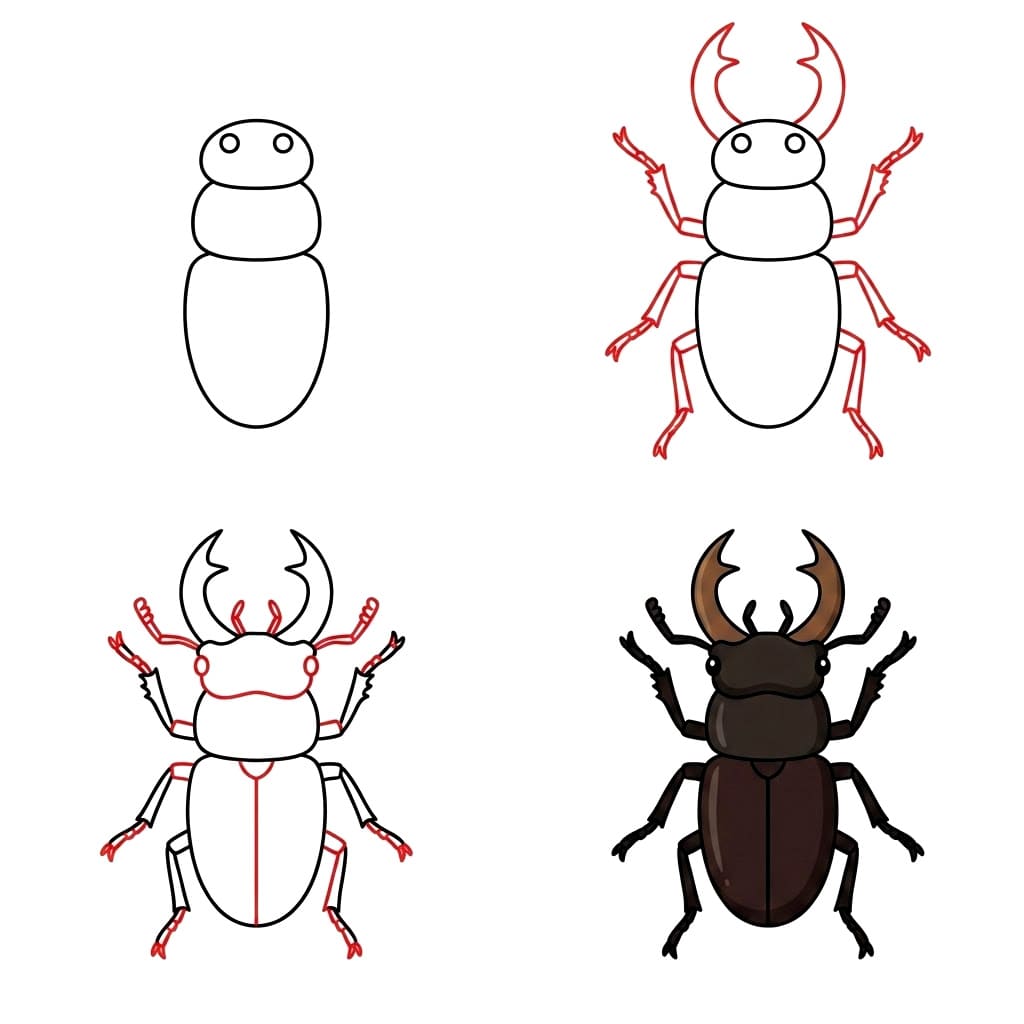 Stag Beetle Drawing Ideas