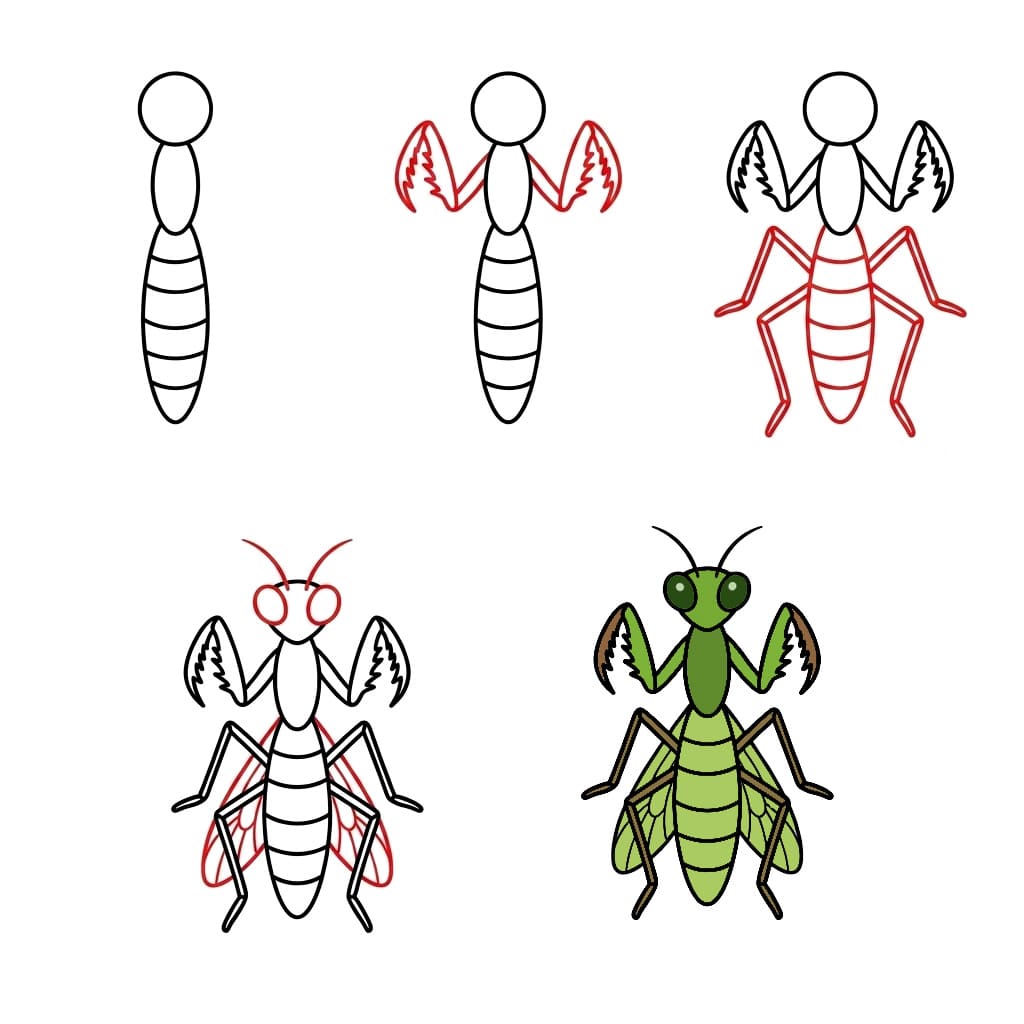 How to draw Standing Mantis