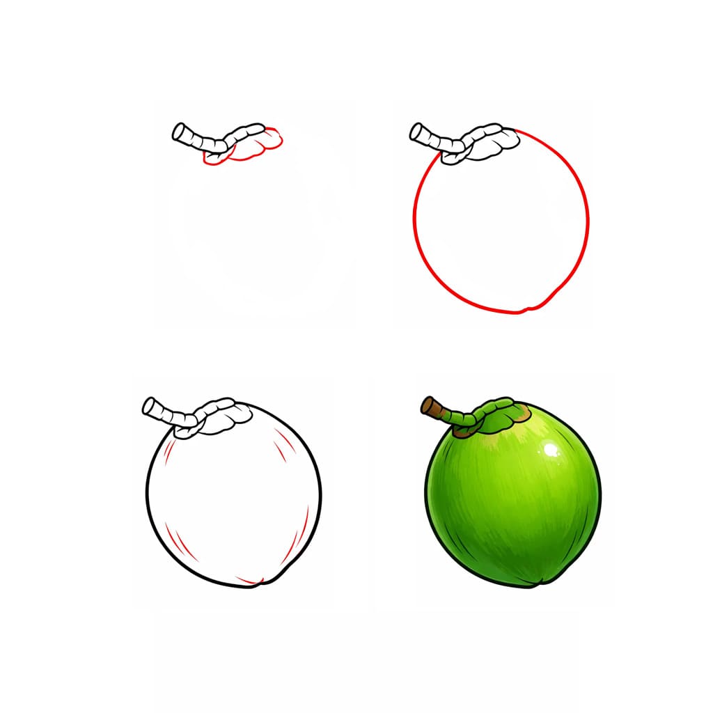 Tropical Coconut Drawing Ideas