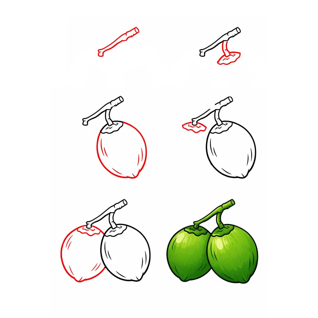 Two Coconuts Drawing Ideas