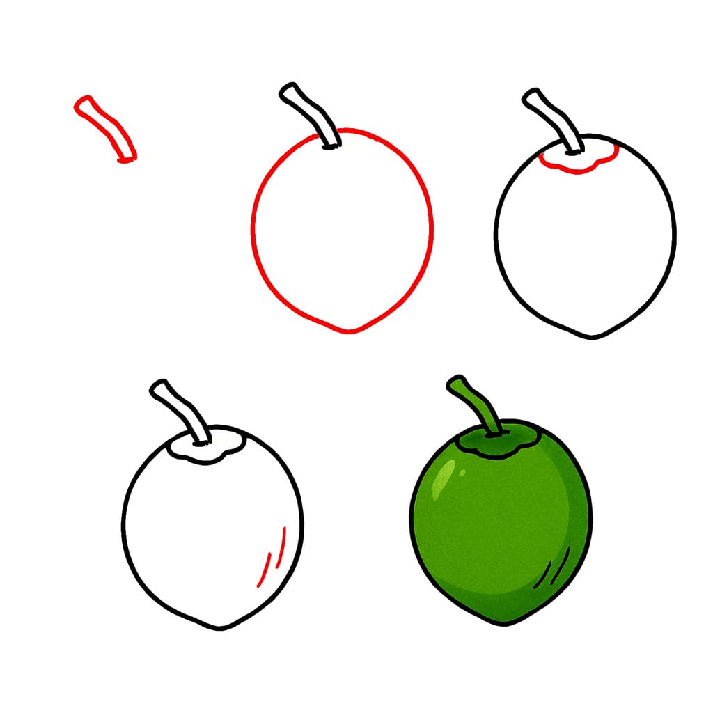 Whole Coconut Drawing Ideas