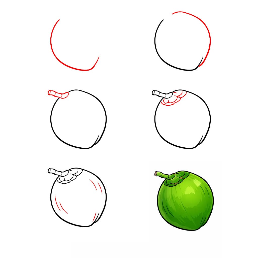Young Coconut Drawing Ideas