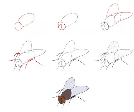 How to draw A fly idea 12
