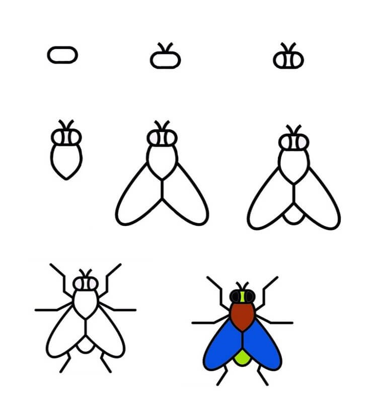 How to draw A fly idea 2