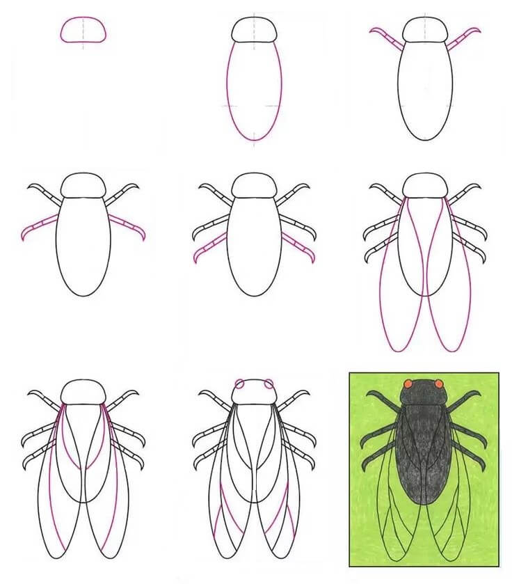How to draw A fly idea 4