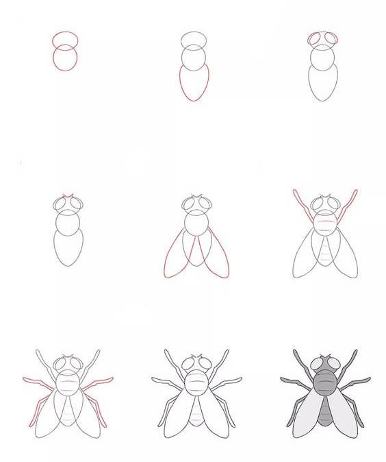 How to draw A fly idea 5