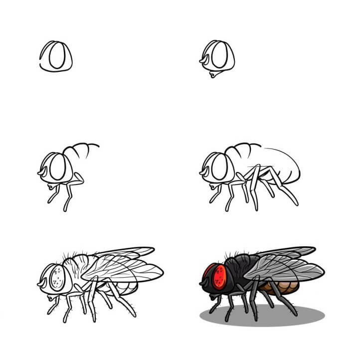 How to draw A fly idea 7