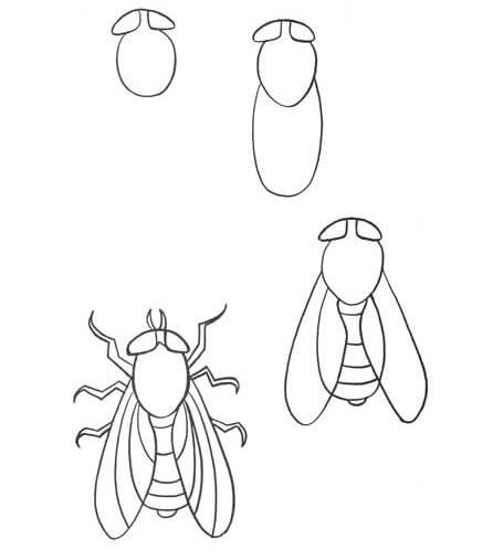 How to draw A fly idea 8