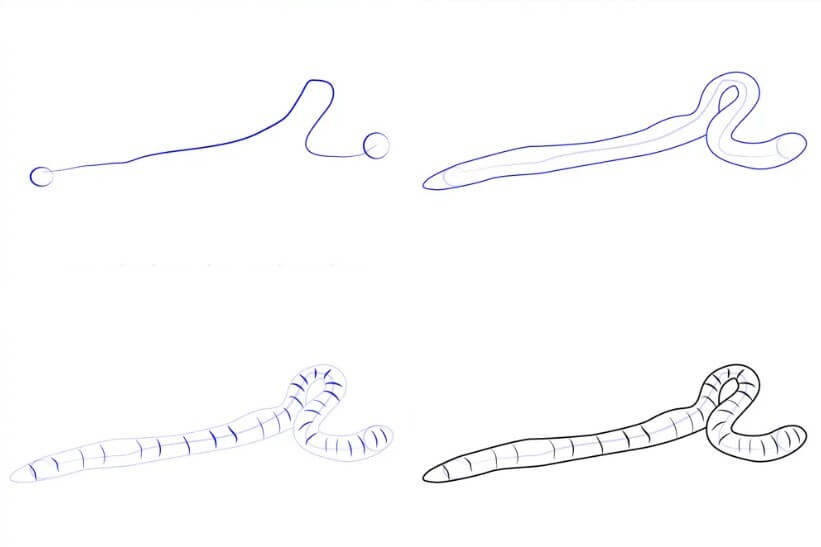 How to draw A worm idea (19)
