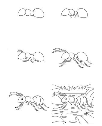 How to draw Ant idea (1)