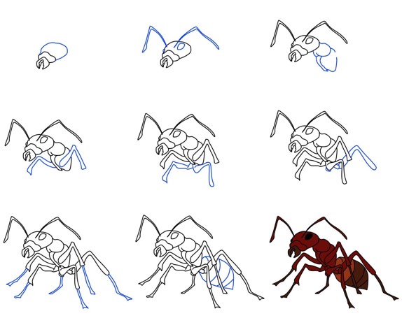 How to draw Ant idea (10)
