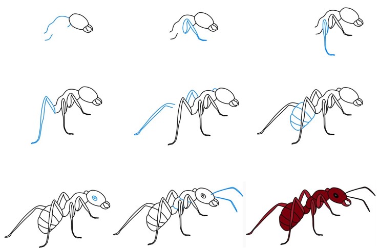How to draw Ant idea (11)