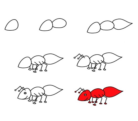 How to draw Ant idea (12)