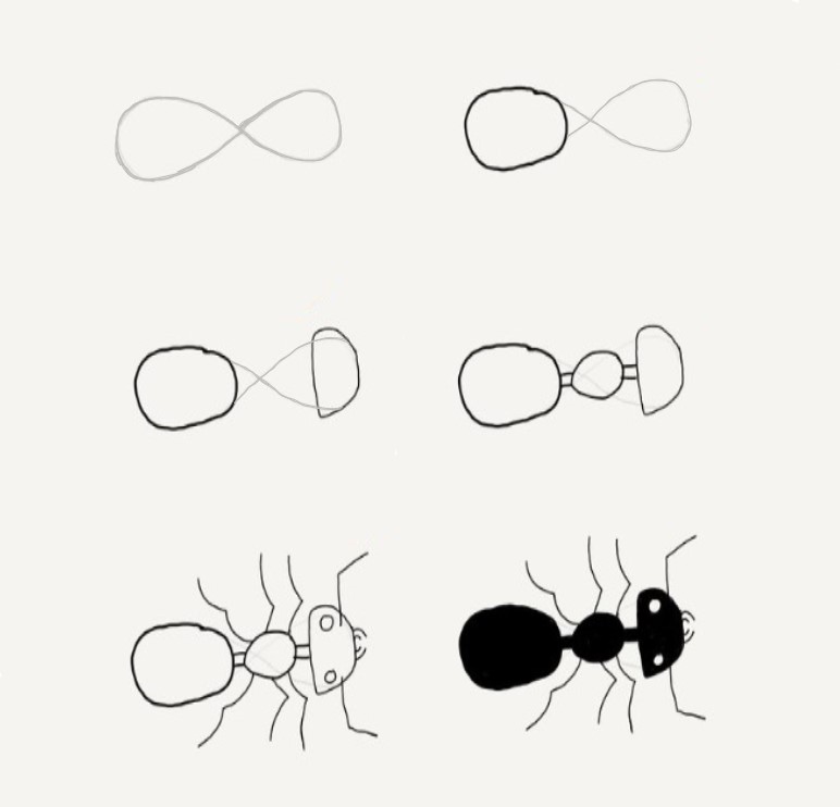 How to draw Ant idea (13)