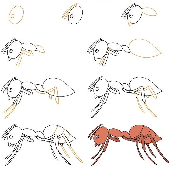 How to draw Ant idea (16)