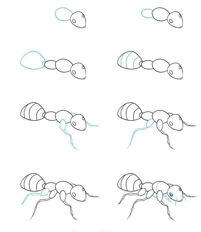 How to draw Ant idea (2)
