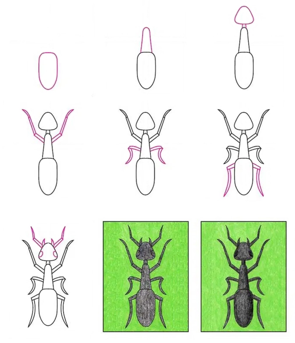 How to draw Ant idea (20)